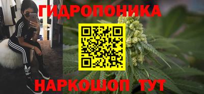 шишки Кулебаки
