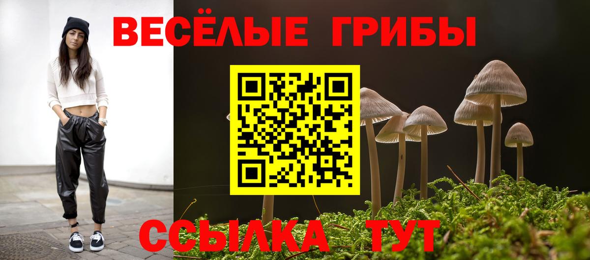 Галлюциногенные грибы ЛСД Карталы