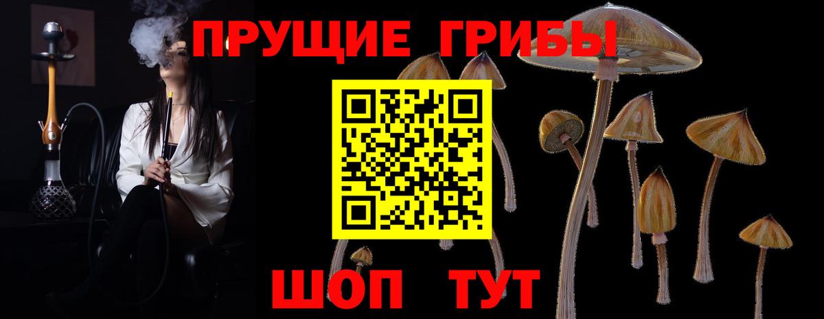 Псилоцибиновые грибы прущие грибы  Вход с VPN  Карталы 